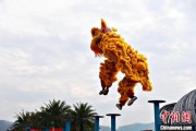 爻卦六爻（文化中国行）壮乡狮舞闯南洋：脚踏“云桩” 饮誉海内外